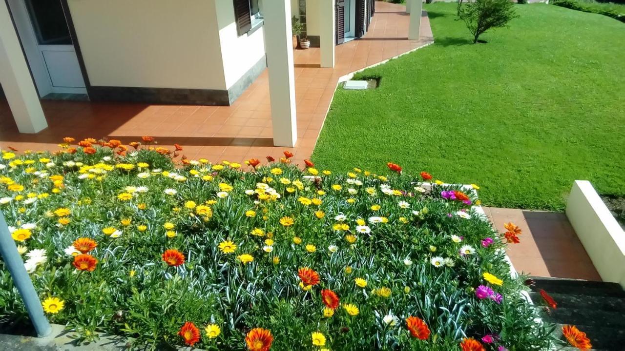 Alice'S House Hotel Horta  Bagian luar foto